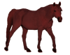 Pferdefarbe chestnut=Fuchs