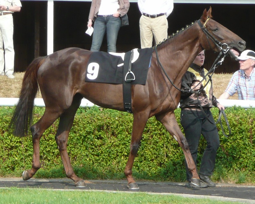 Lady of Boogie - Foto von Heidrun Küster