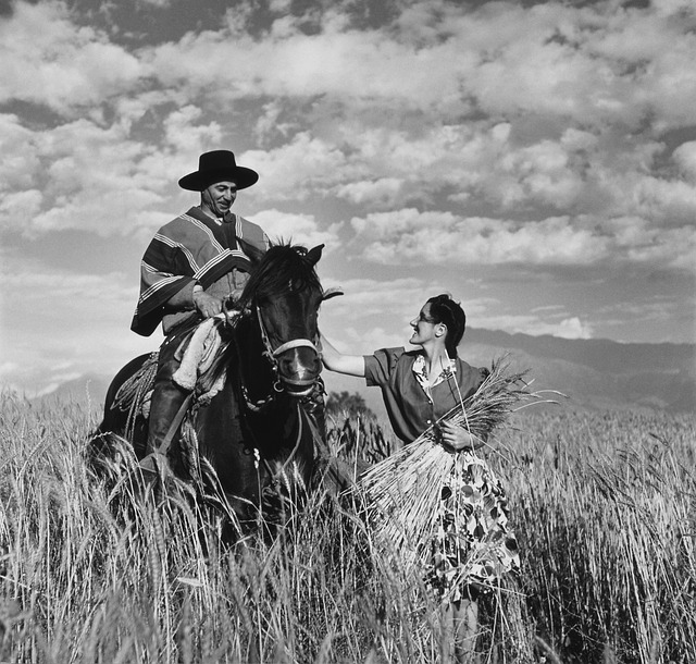 Gaucho gaucho